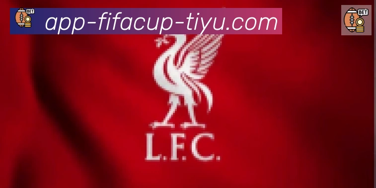 FIFA世界杯APP下载合作伙伴